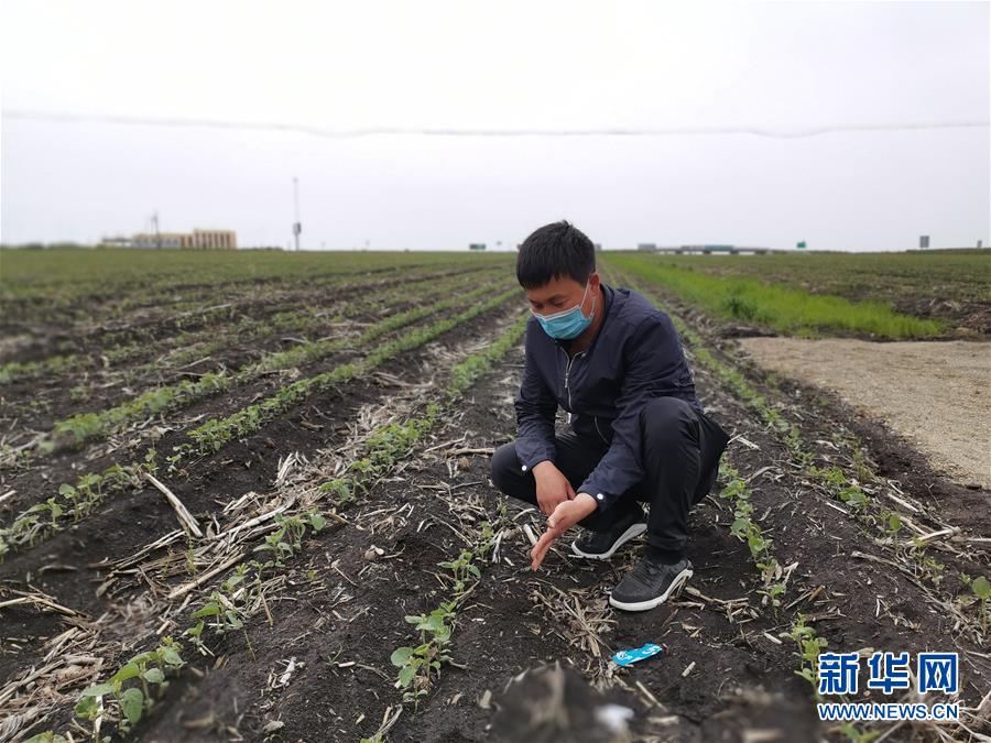 (在习近平新时代中国特色社会主义思想指引下——新时代新作为新篇章·习近平总书记关切事·图文互动)(4)让百姓吃得饱还要吃得好——夯实粮食安全基础端牢中国饭碗