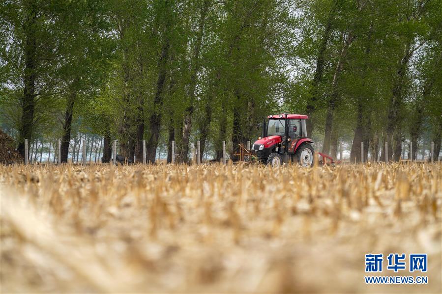 (在习近平新时代中国特色社会主义思想指引下——新时代新作为新篇章·习近平总书记关切事·图文互动)(5)让百姓吃得饱还要吃得好——夯实粮食安全基础端牢中国饭碗